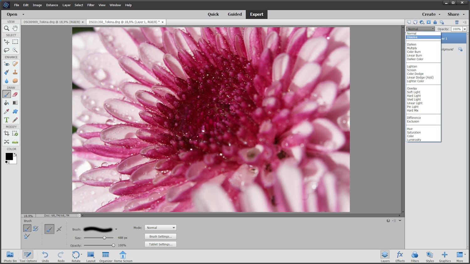 Skærmskud af de forskellige effekter, du kan bruge i Photoshop Elements
